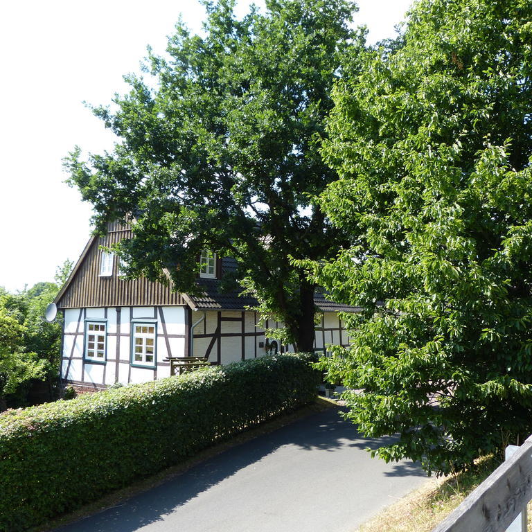 Pension Ridder Marienmünster Buitenkant foto